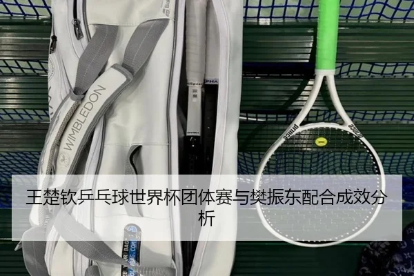 wang-chu-qin-ping-pang-qiu-shi-jie-bei-tuan-ti-sai-yu-fan-zhen-dong-pei-he-cheng-xiao-fen-xi-2-913.jpg