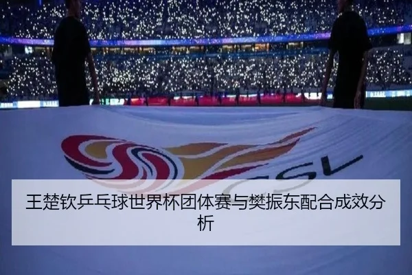 王楚钦乒乓球世界杯团体赛与樊振东配合成效分析